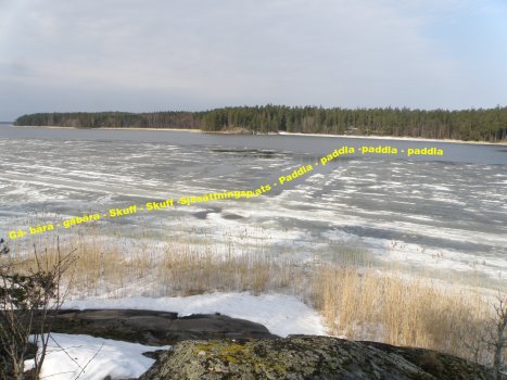 Tosea2010.JPG